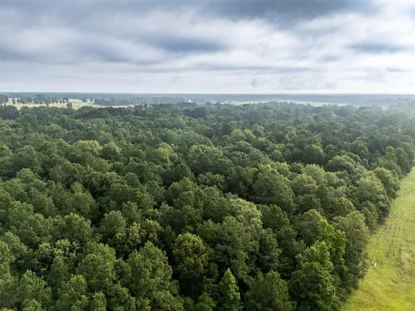 $145,000 | 0 Cr 301 Carthage Tx 75633, Carthage, TX 75633