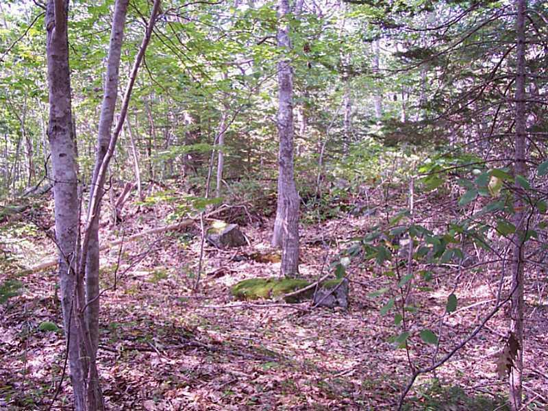 0 Brewer Road East Boothbay, ME 04544 - Photo 11 of 11 Land.