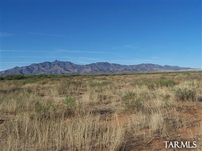 5196 East Philipps Road Willcox, AZ 85643 - Photo 10 of 16