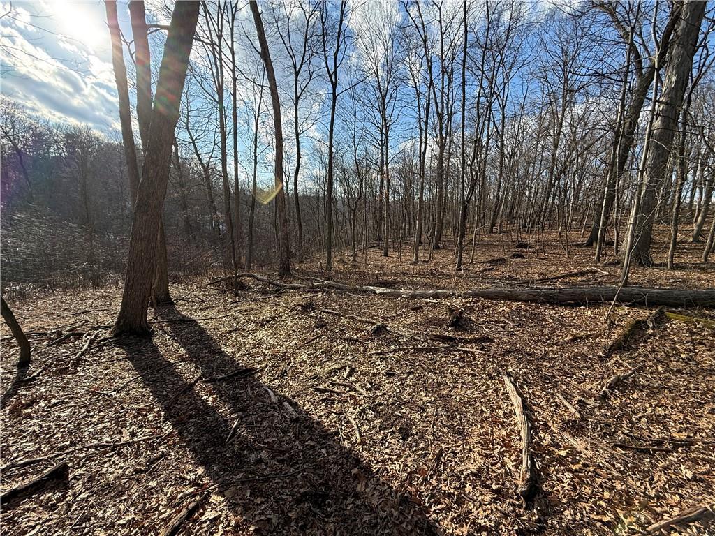46 Simon Road Cheswick, PA 15024 - Photo 4 of 32 upper flat looking toward Simon Rd