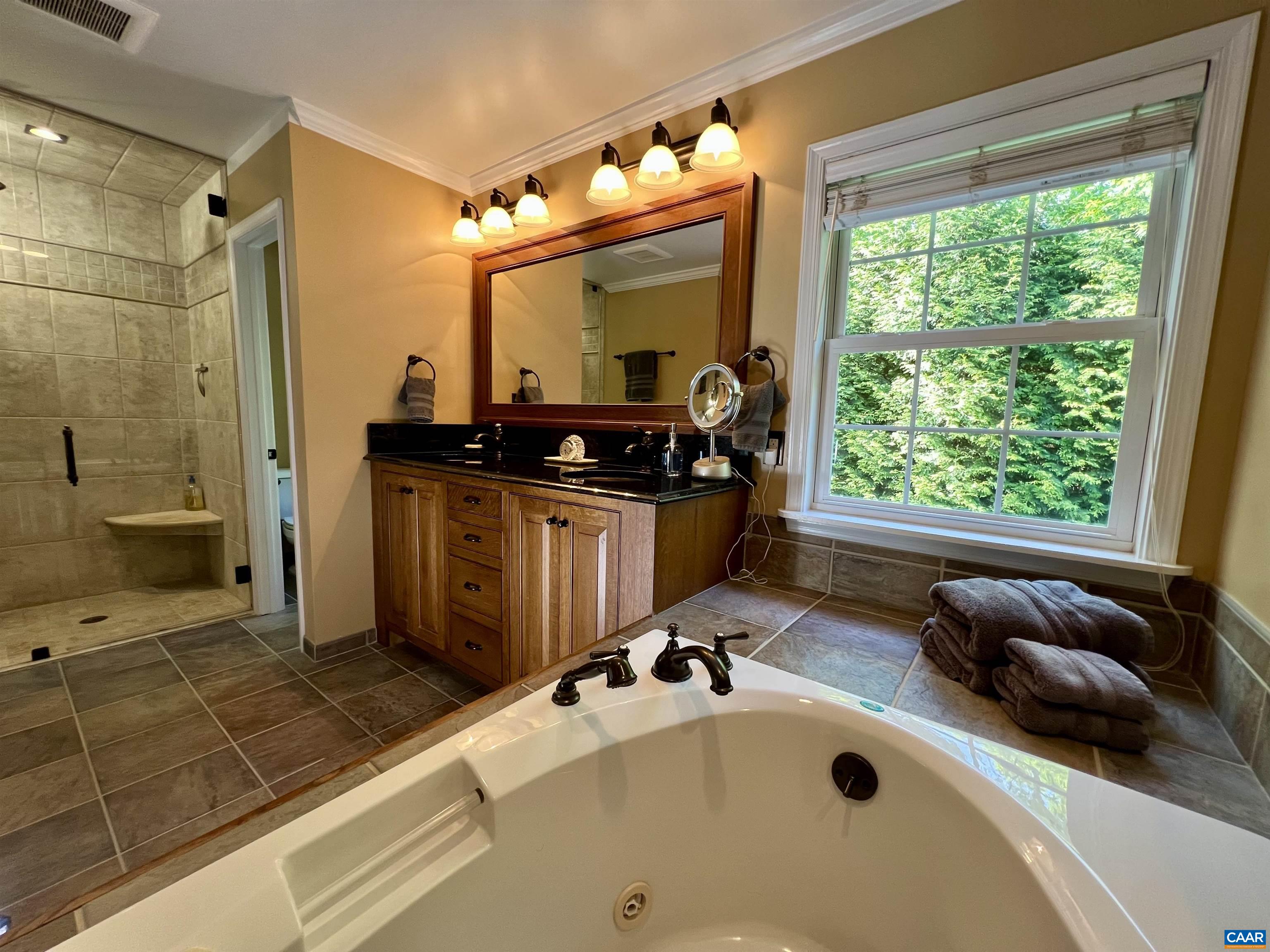 1340 Mosby Rch Charlottesville, VA 22901 - Photo 36 of 62 a bathroom with a tub a sink and a mirror