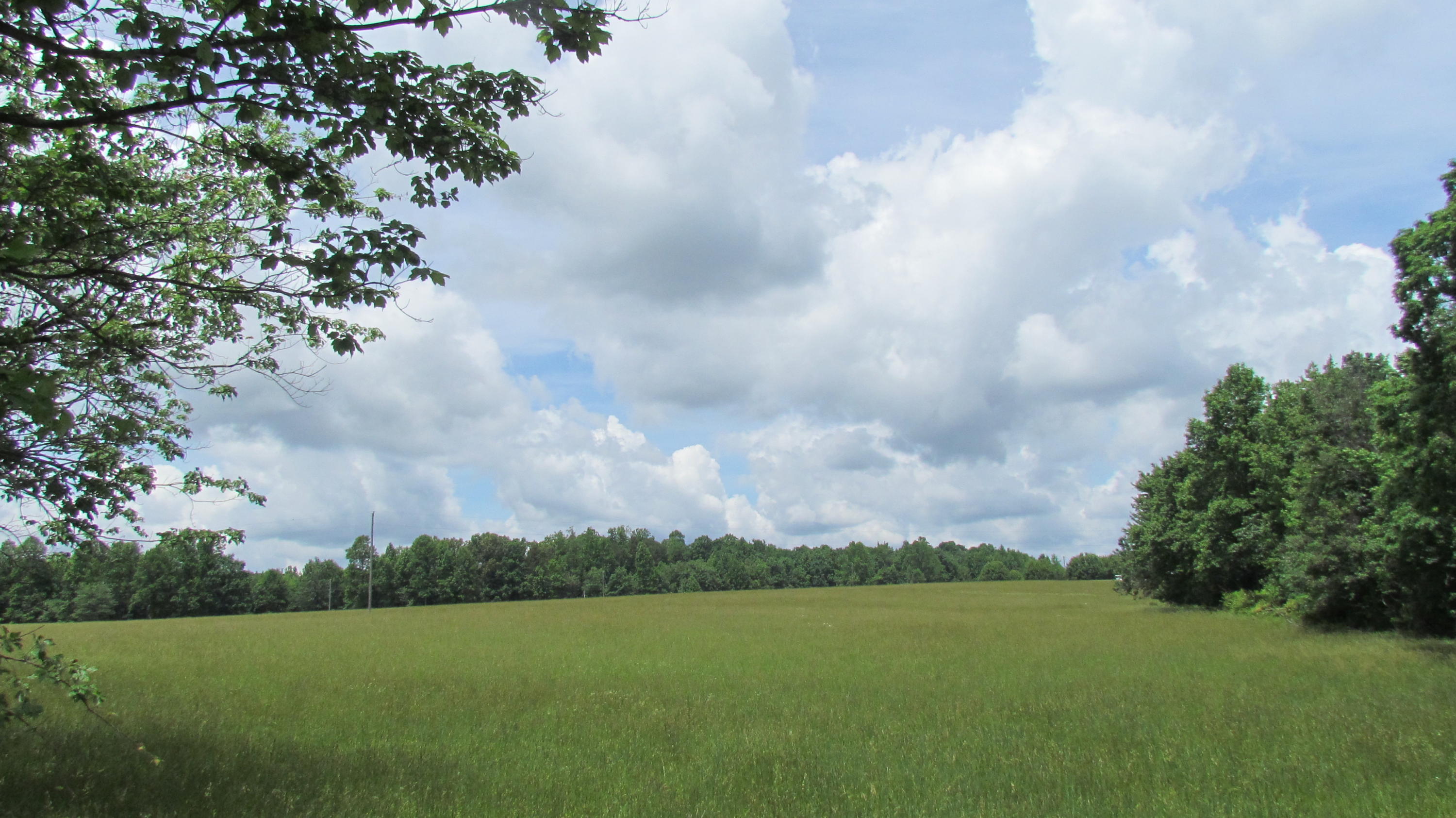 0 Moon Lake Road Cloudland, GA 30731 - Photo 1 of 15 IMG_9850