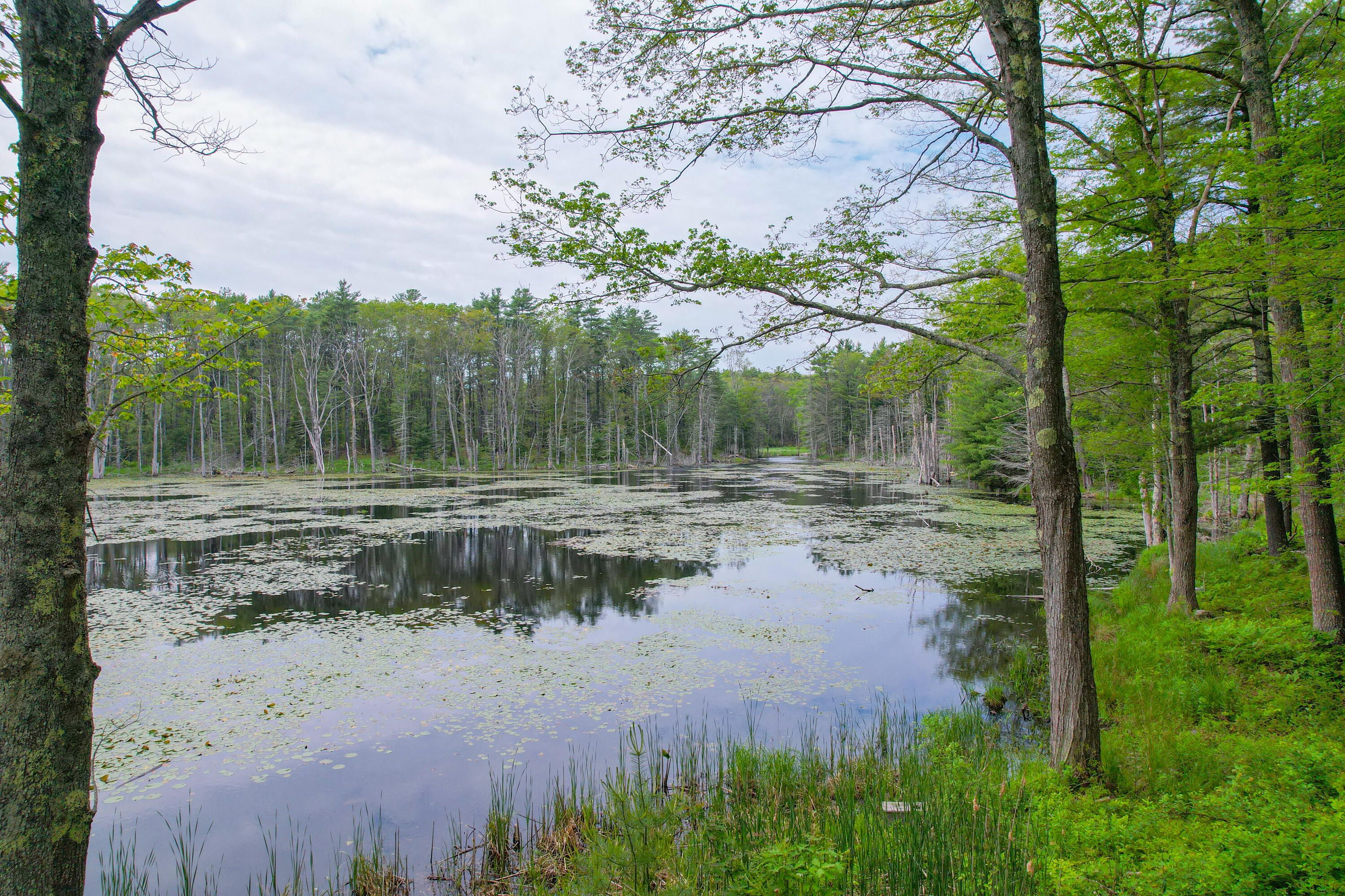 511 Main Road Phippsburg, ME 04562 - Photo 85 of 121 511MainRd.Phippsburg-062