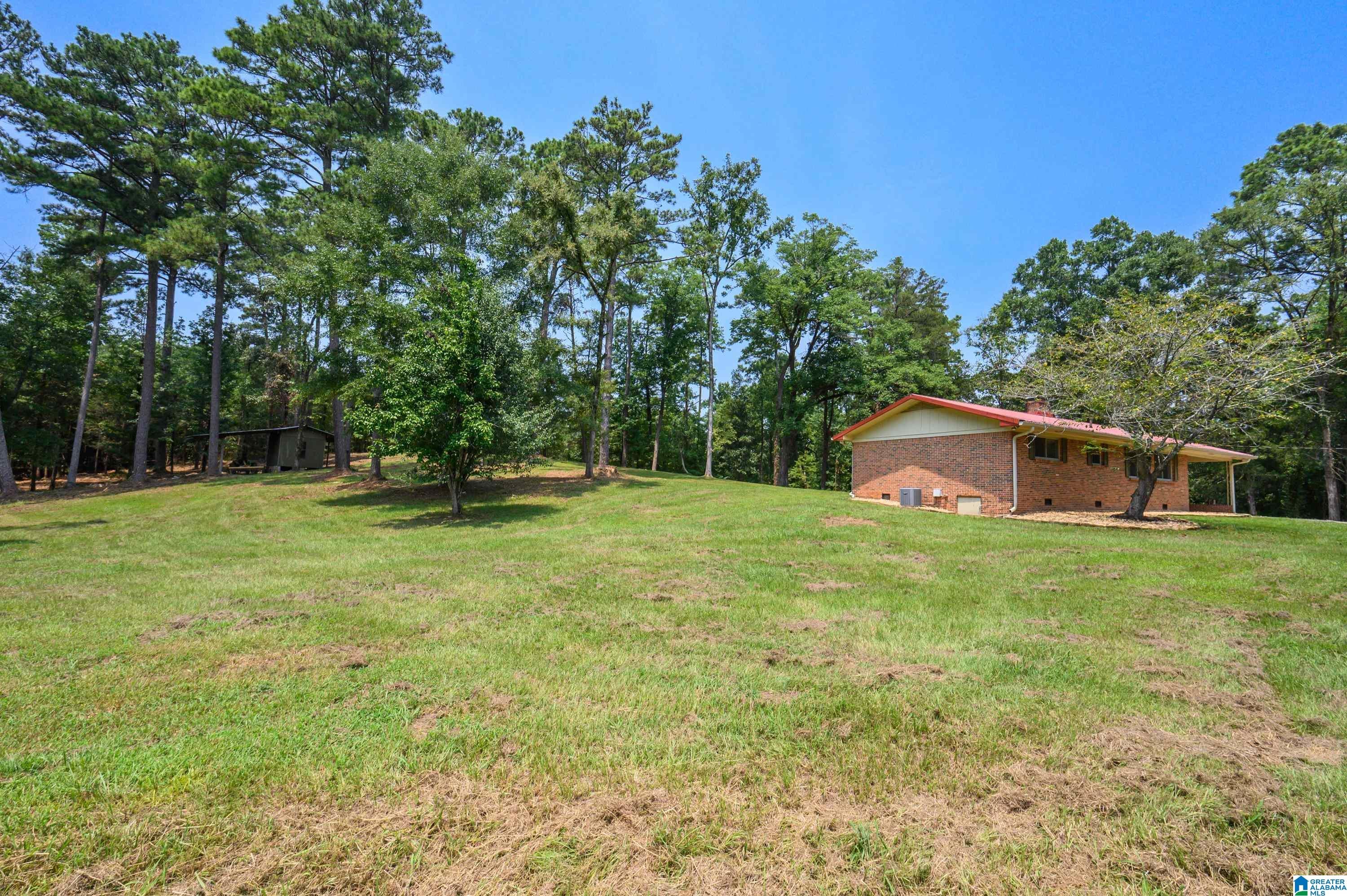 1625 Salem Road Montevallo, AL 35115 - Photo 45 of 59 Gallery Image 45
