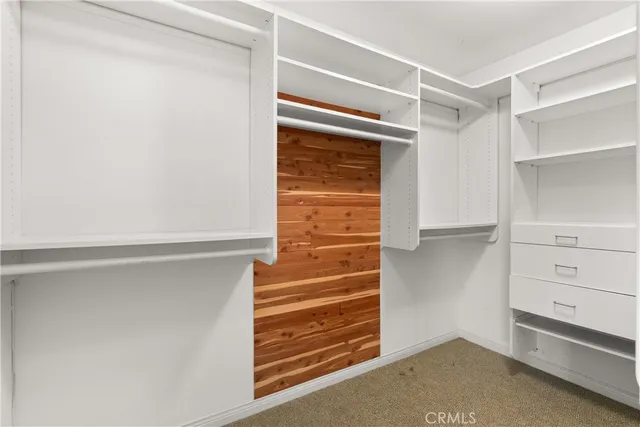 a view of walk in closet with empty racks