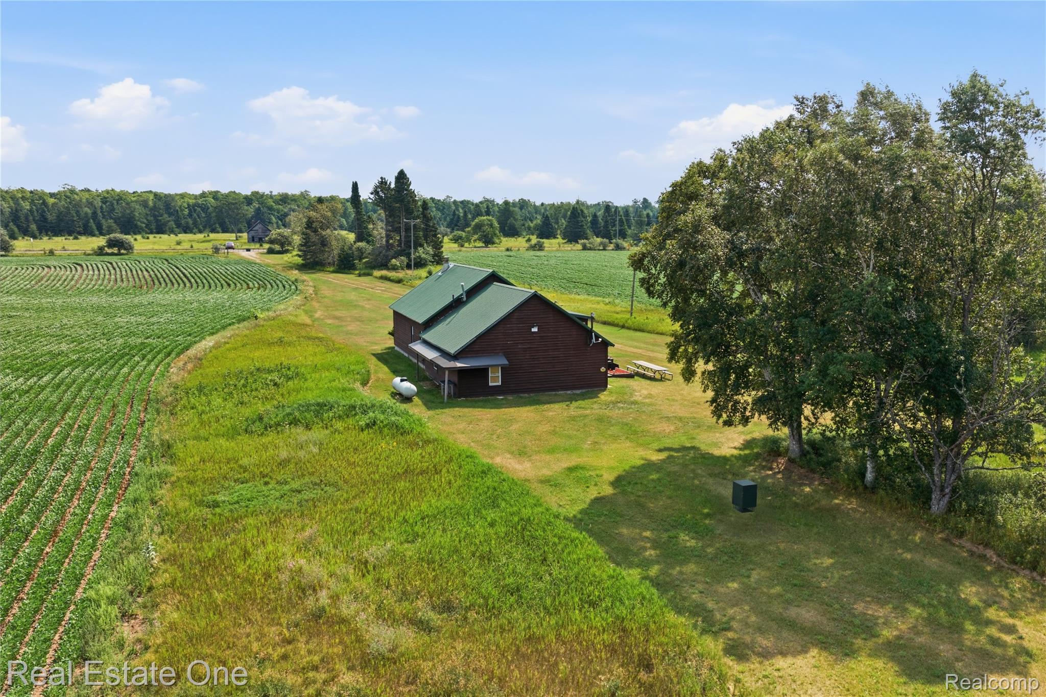 2643 North Gulliver Road Gulliver, MI 49840 - Photo 39 of 95 DJI_20260804120028_0439_D.jpg