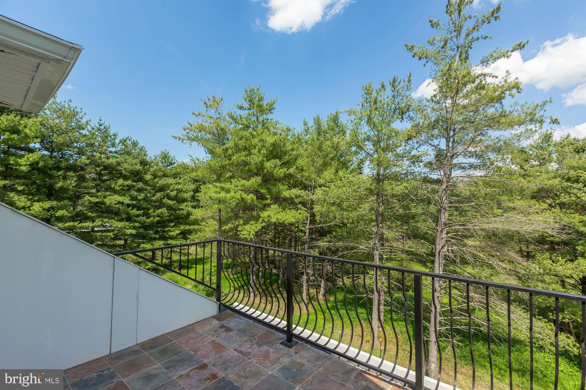 39926 New Road Aldie, VA 20105 - Photo 61 of 91