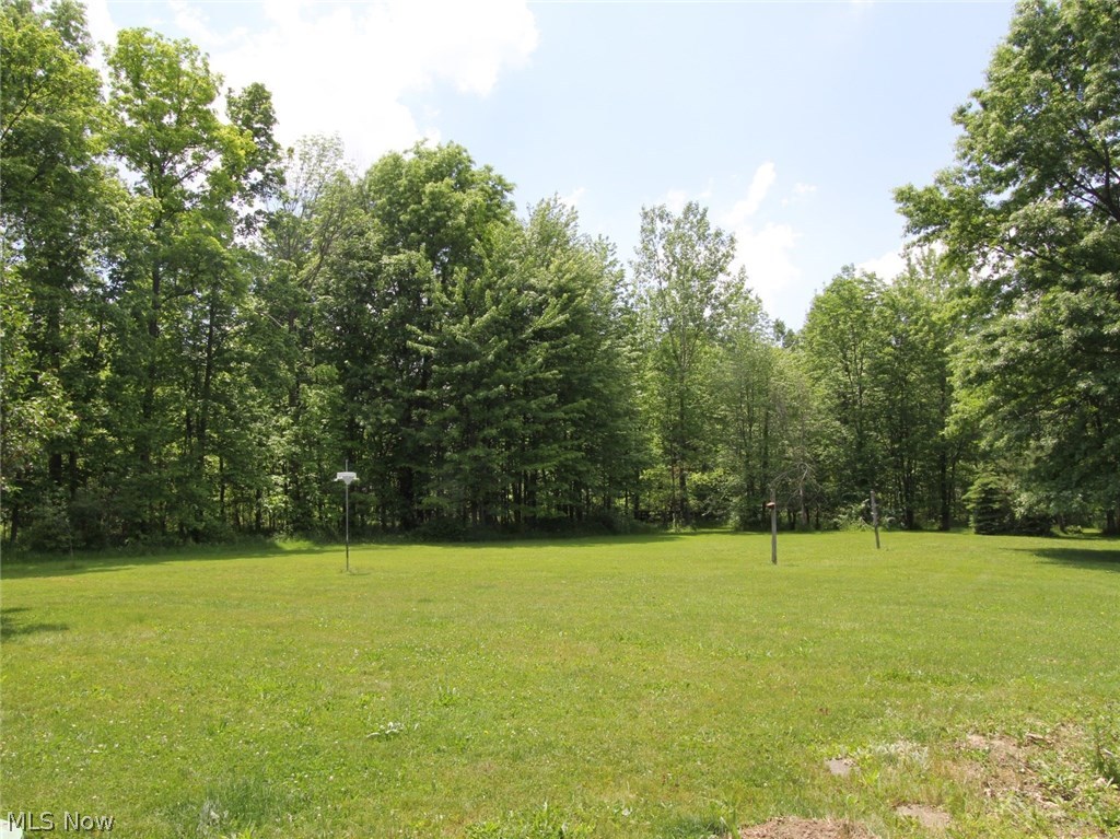 6276 Stone Road Hudson, OH 44236 - Photo 25 of 26 10.4 aces, possibilities for horses, alpacas or the like
