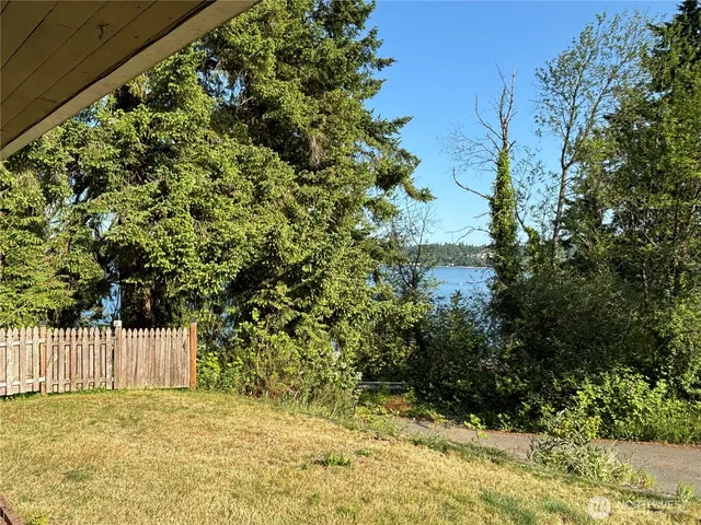 a view of a yard with plants and tree
