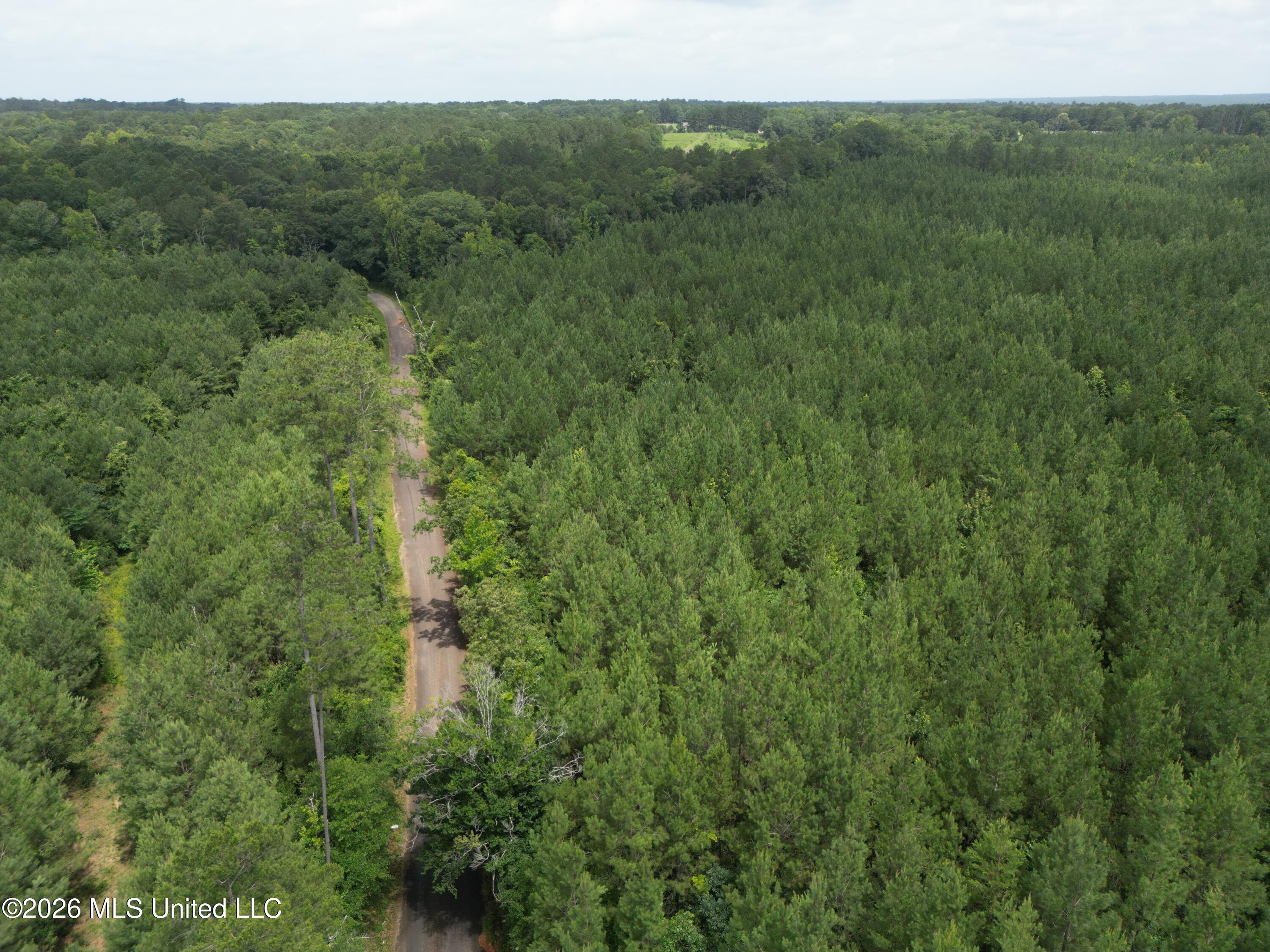 Summit Holmesville Road McComb, MS 39648 - Photo 10 of 29 DJI_0618
