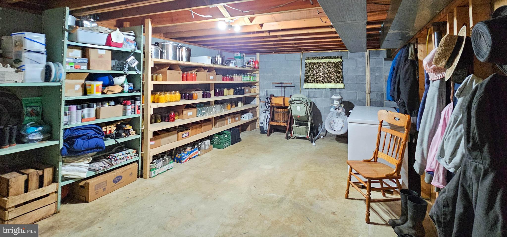 21272 Leiters Mill Road Hagerstown, MD 21742 - Photo 23 of 51 Storage area