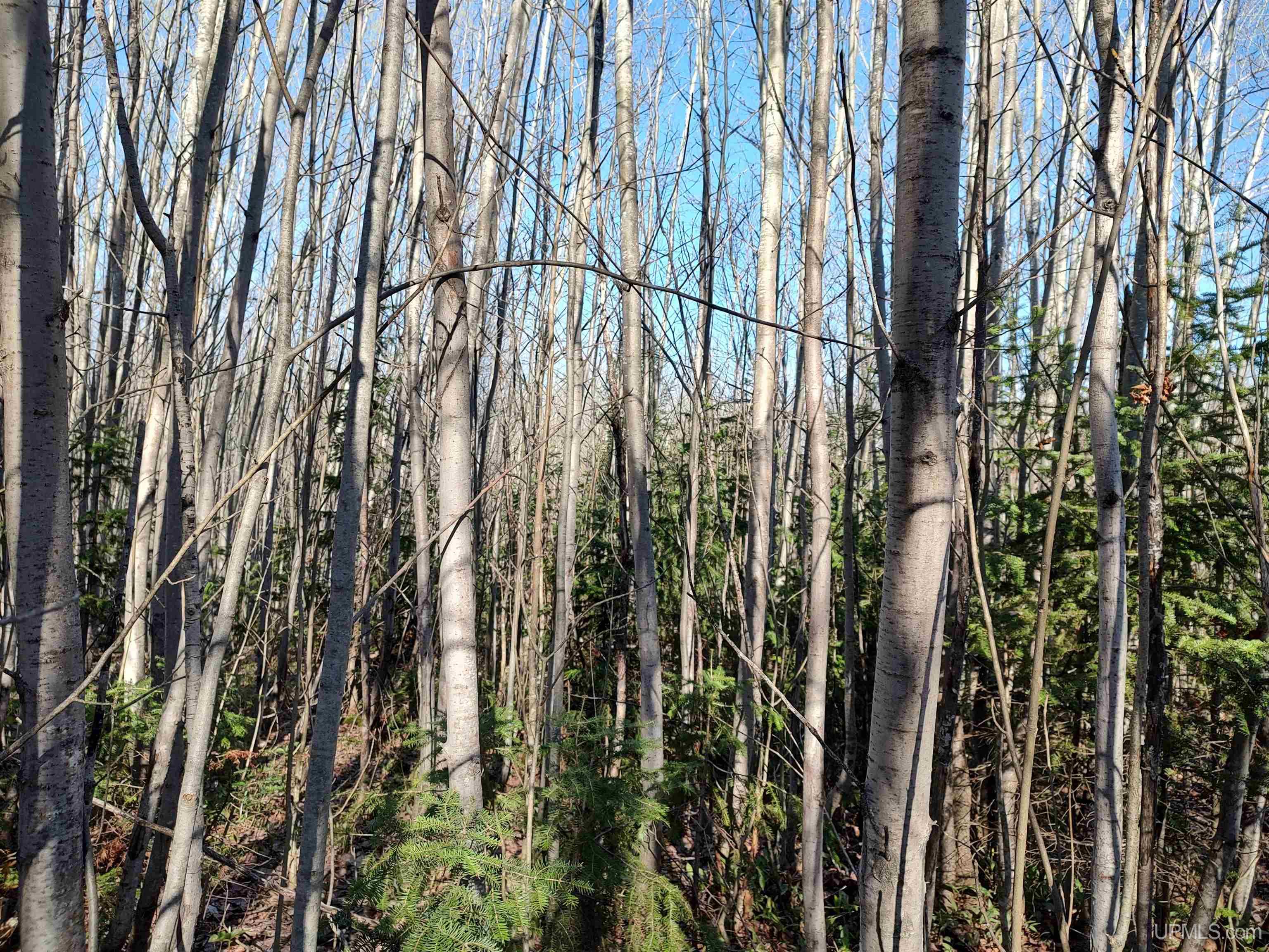 Tbd Tbd Schooner Road Ontonagon, MI 49953 - Photo 16 of 44