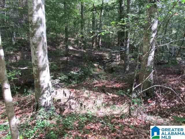 79 Highway 79, Unit 33 Cleveland, AL 35049 - Photo 24 of 32