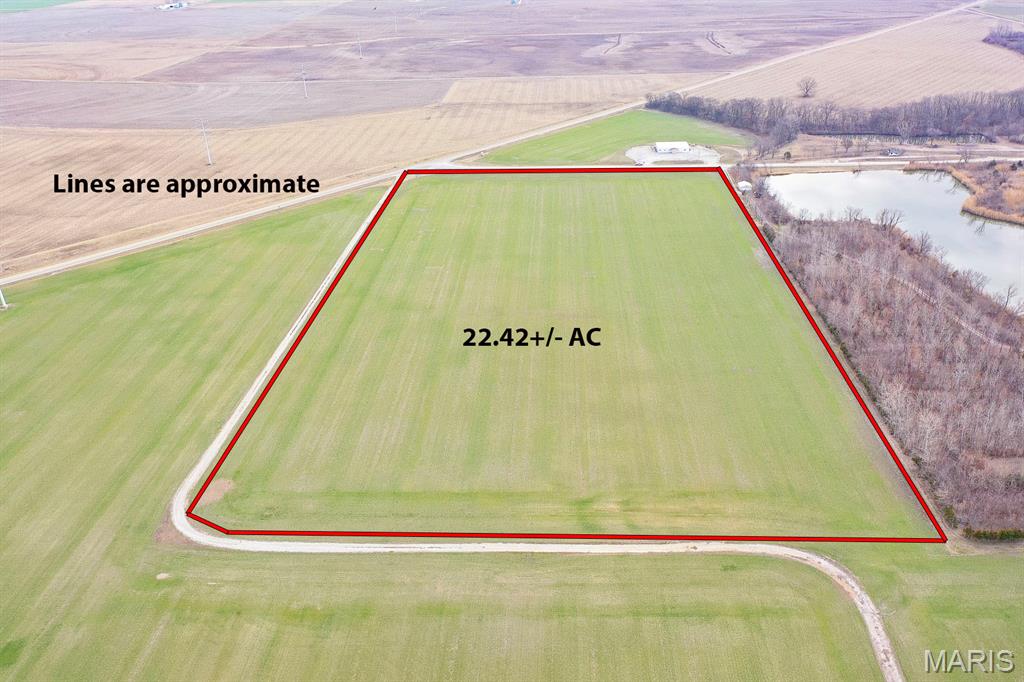 1365 Green Diamond Road Marissa, IL 62257 - Photo 4 of 6