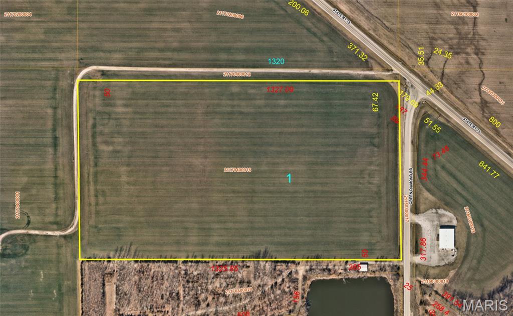 1365 Green Diamond Road Marissa, IL 62257 - Photo 6 of 6