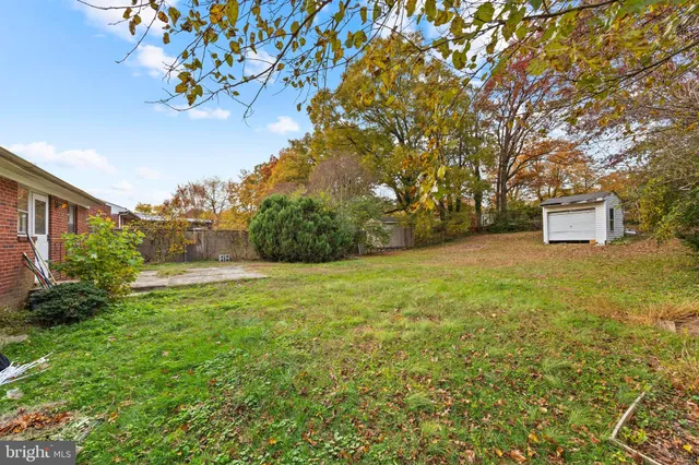 a view of a yard with trees