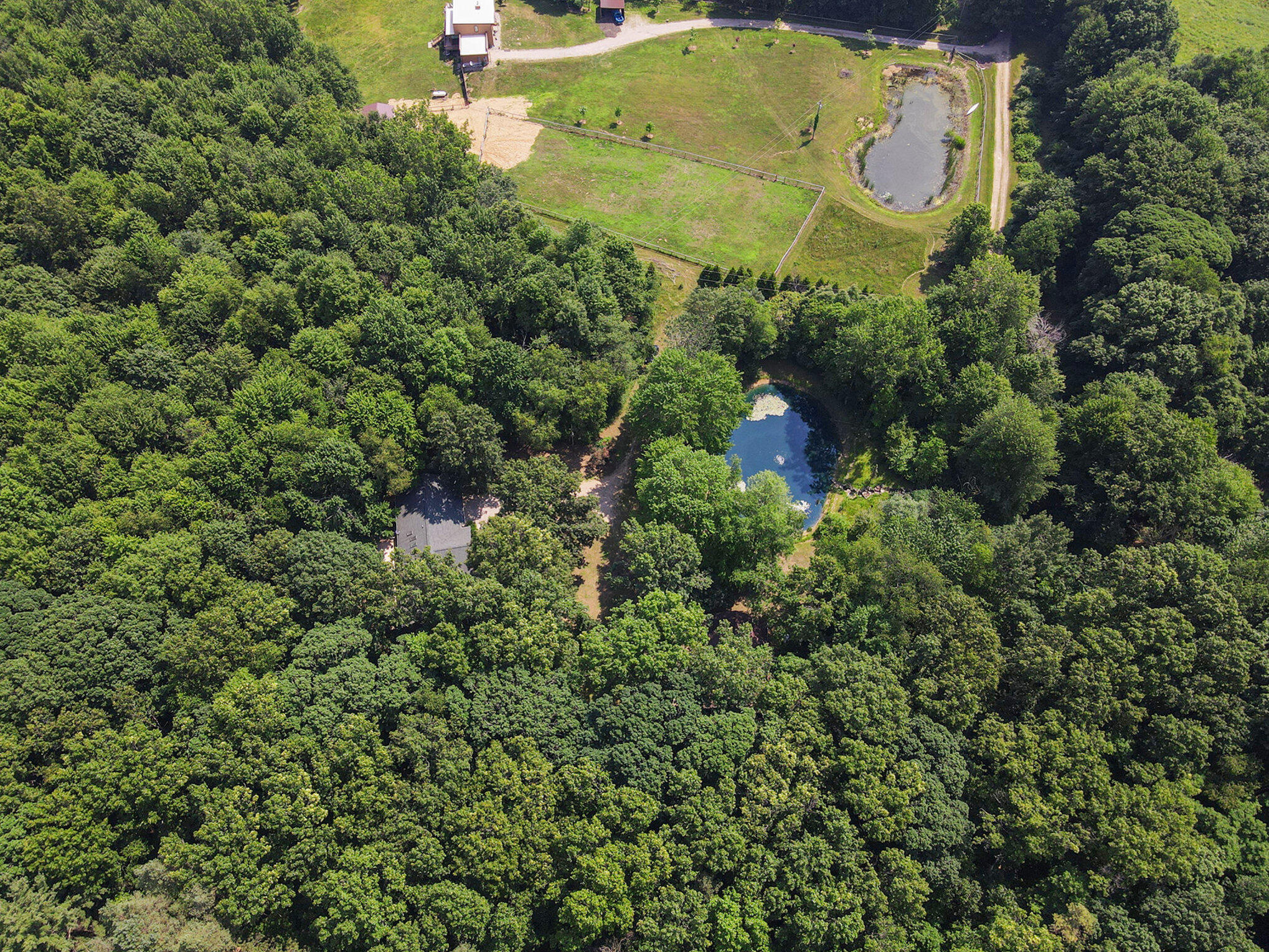 3537 Lake Ridge Lane Allegan, MI 49010 - Photo 39 of 44 dji_0904_76