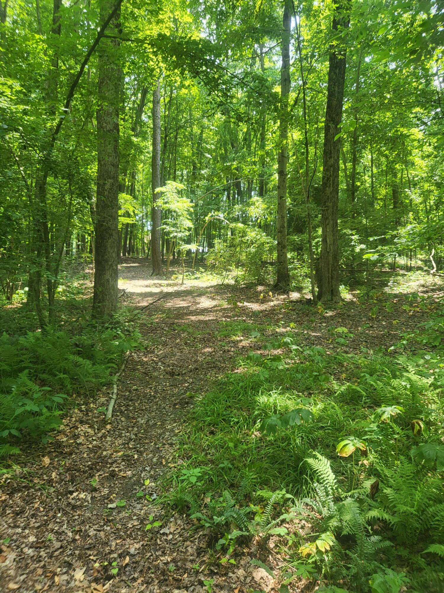 3537 Lake Ridge Lane Allegan, MI 49010 - Photo 42 of 44 20250708_135645