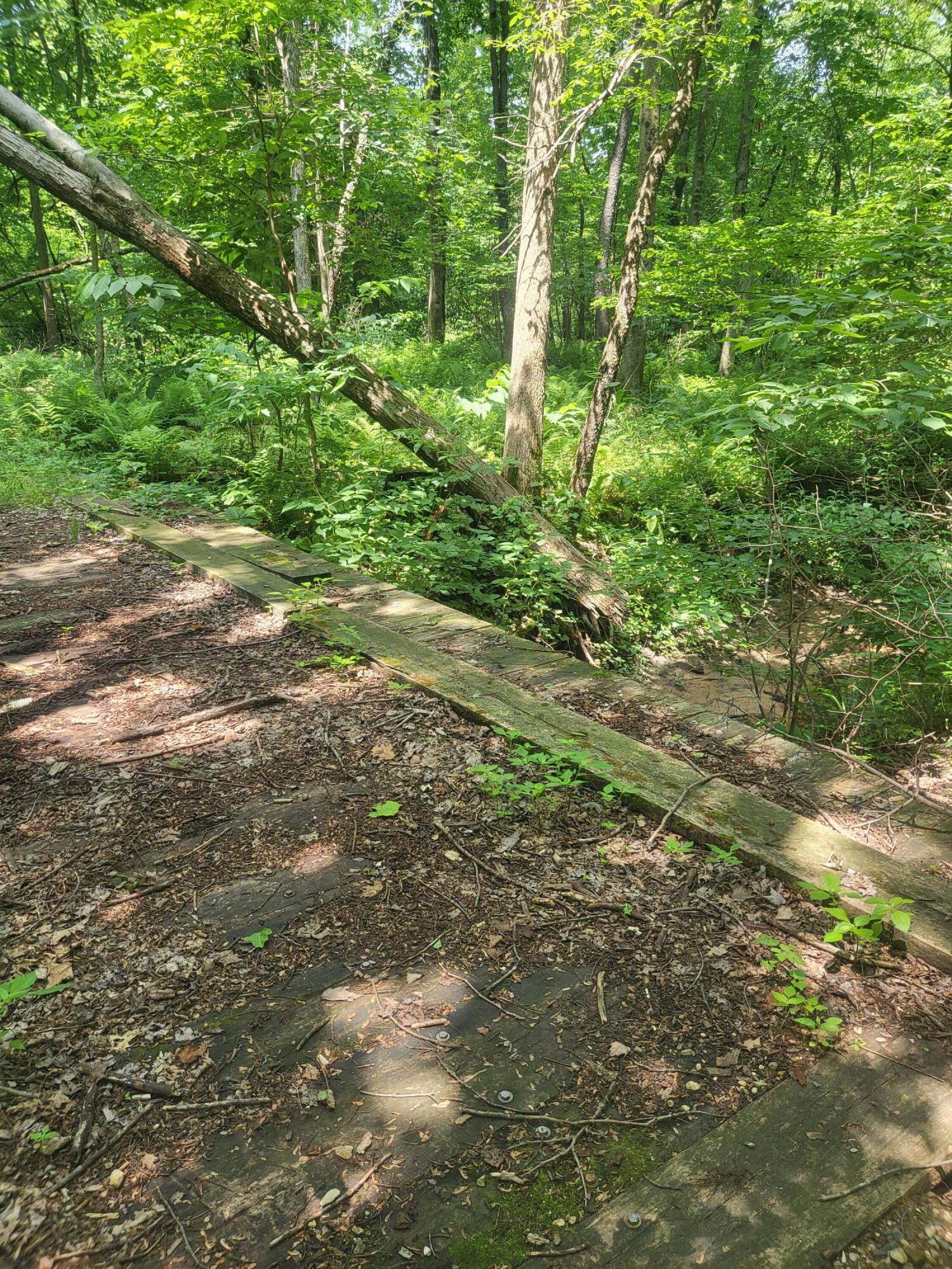 3537 Lake Ridge Lane Allegan, MI 49010 - Photo 44 of 44 20250708_135600