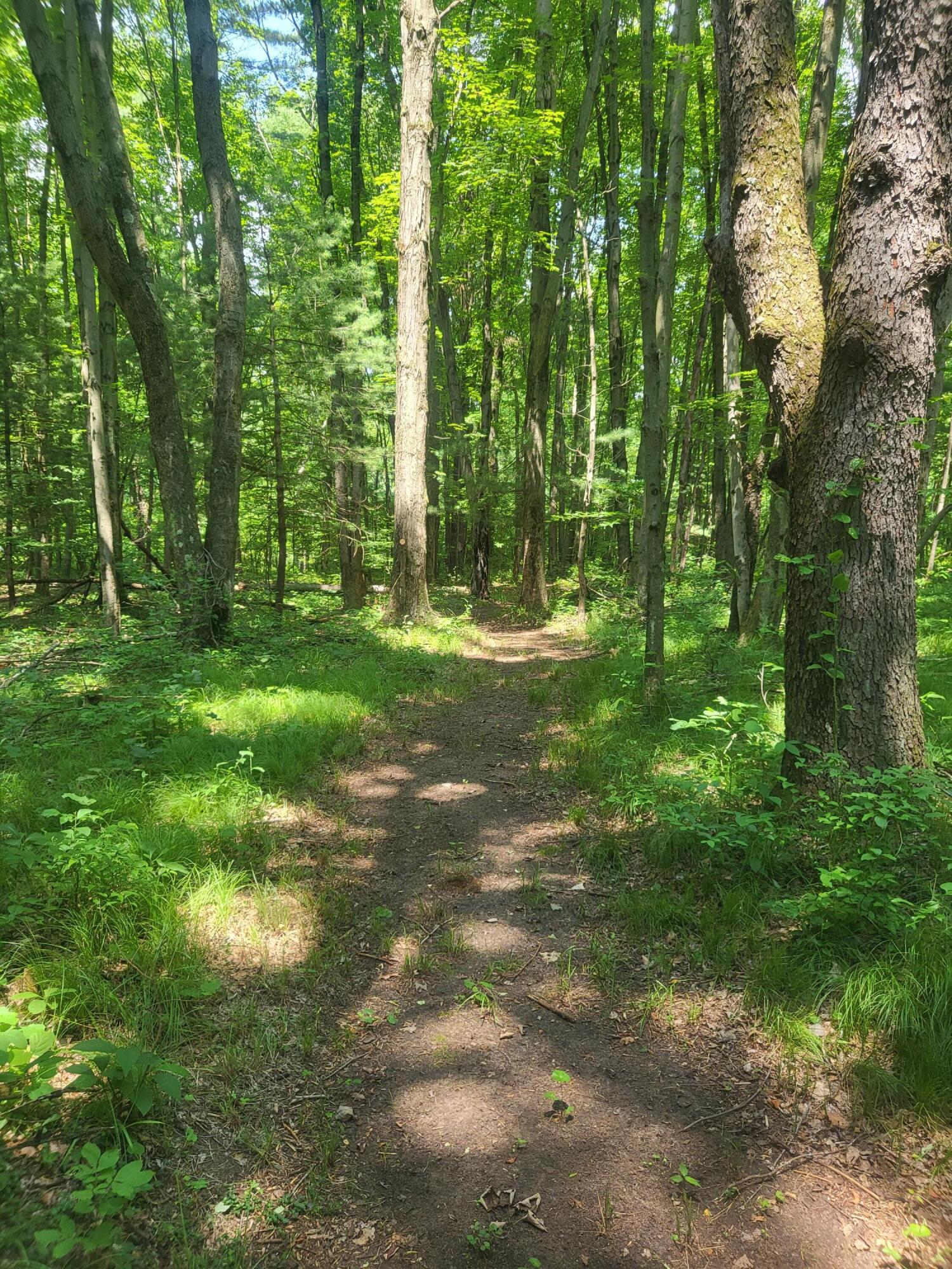 3537 Lake Ridge Lane Allegan, MI 49010 - Photo 7 of 44 20250708_135232