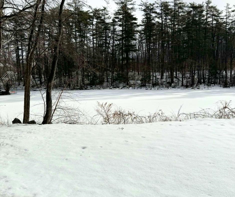 27 Water Street Meredith, NH 03253 - Photo 13 of 13