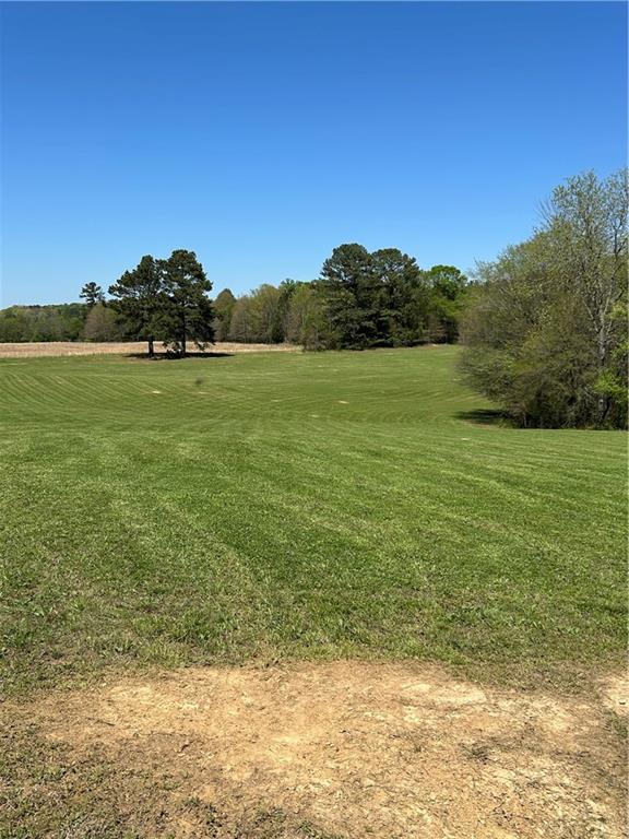 433 Spring Place Resaca Road Chatsworth, GA 30705 - Photo 3 of 51 a view of a field with an ocean