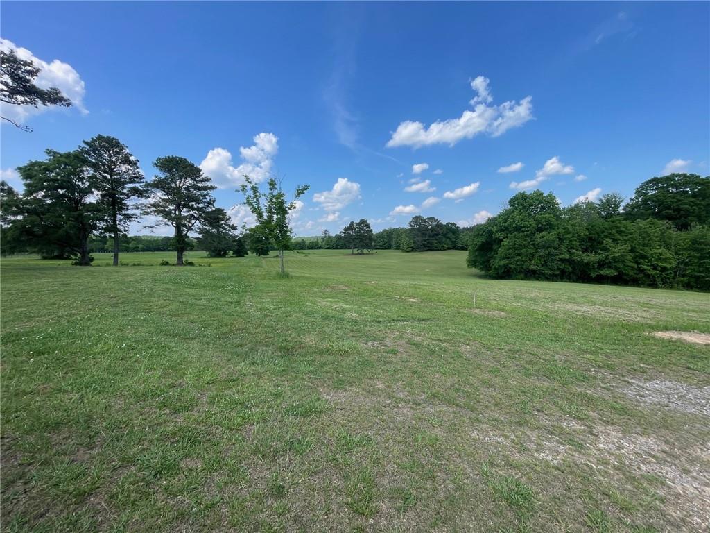 433 Spring Place Resaca Road Chatsworth, GA 30705 - Photo 51 of 51 a view of a big yard with a house