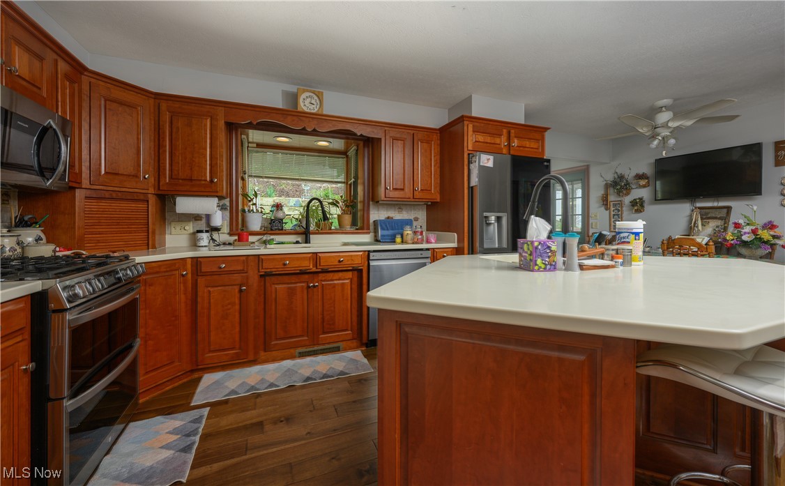 1427 Terrace Road Northwest New Philadelphia, OH 44663 - Photo 31 of 44 Kitchen featuring appliances with stainless steel finishes, light countertops, dark wood-type flooring, a ceiling fan, and plenty of natural light