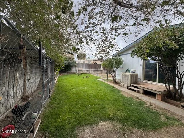a view of a yard with plants and large trees