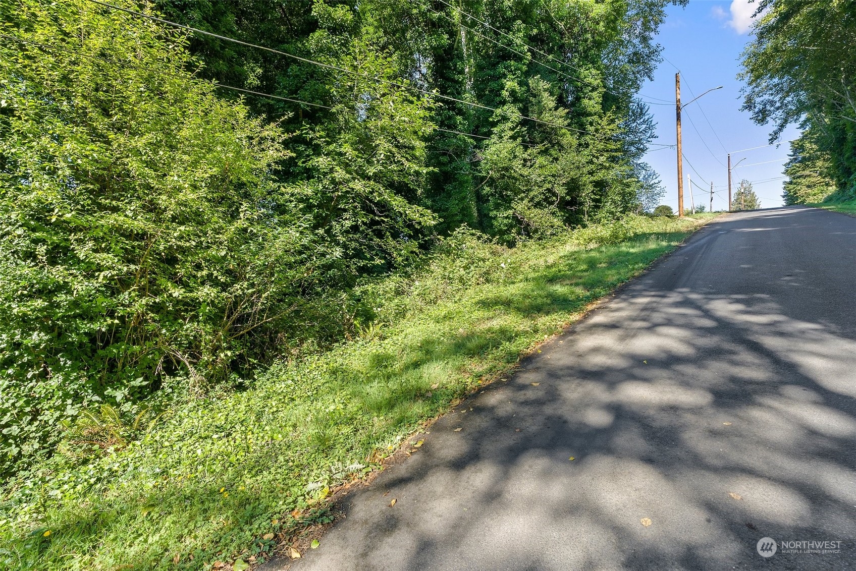 0 X Water Street South Bend, WA 98586 - Photo 12 of 12 a plant view in yard
