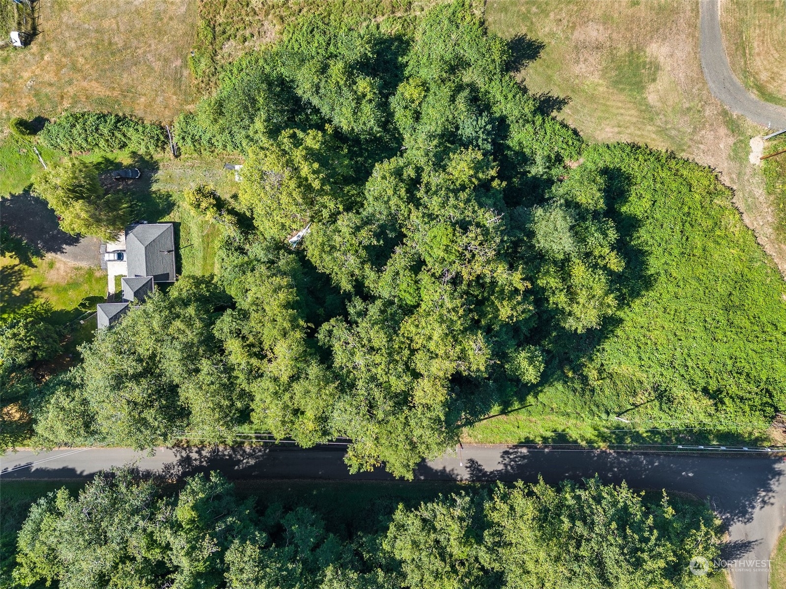 0 X Water Street South Bend, WA 98586 - Photo 6 of 12 a view of a garden with plants