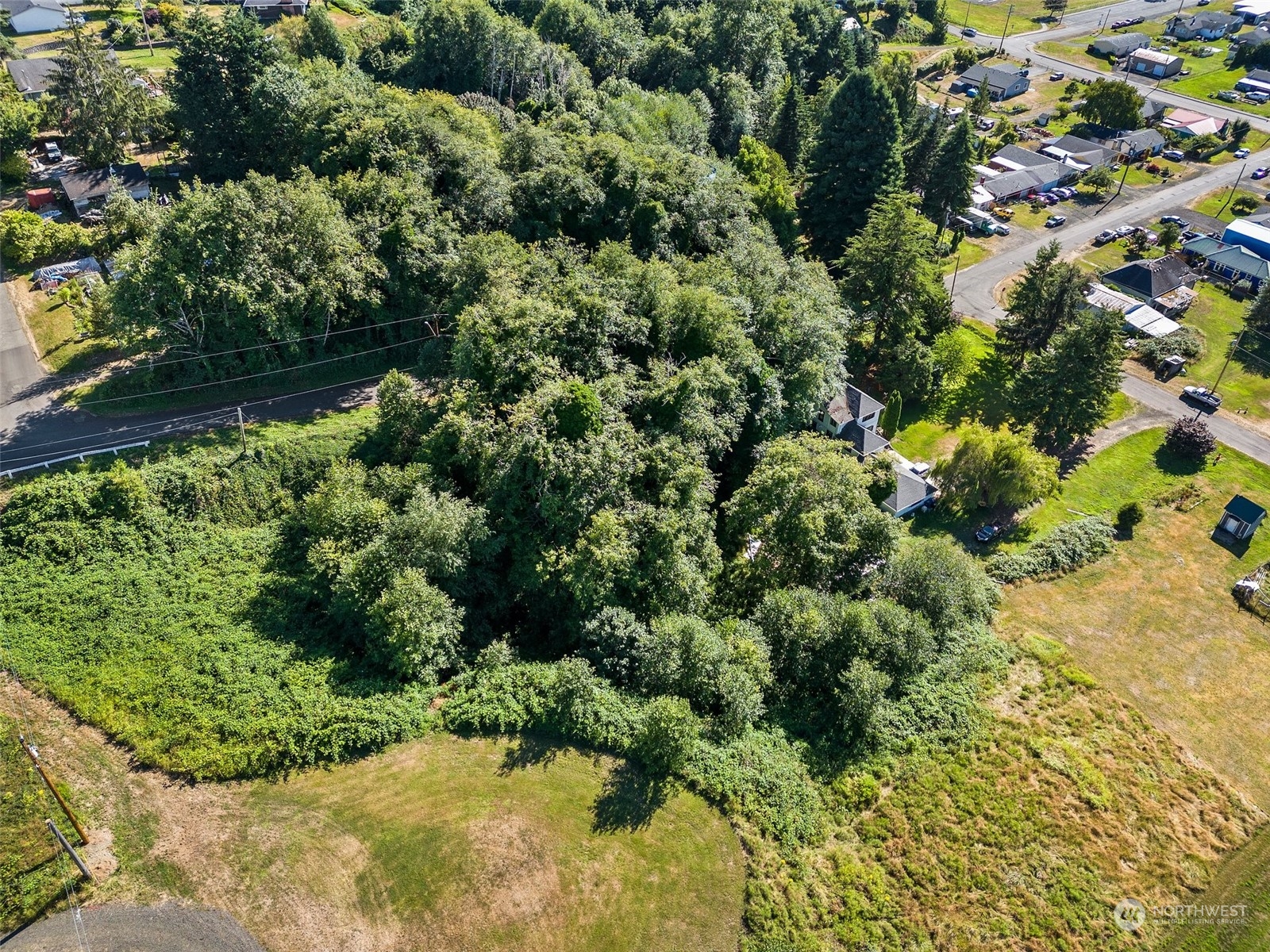 0 X Water Street South Bend, WA 98586 - Photo 8 of 12 a view of a garden with plants