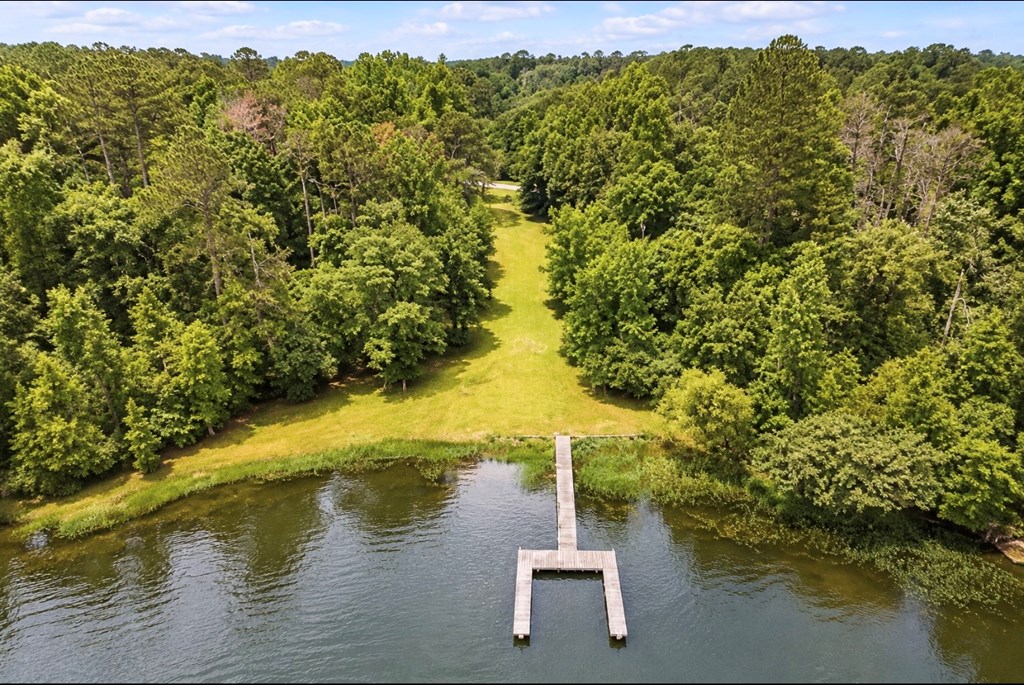 97 County Road 97 Abbeville, AL 36310 - Photo 7 of 14