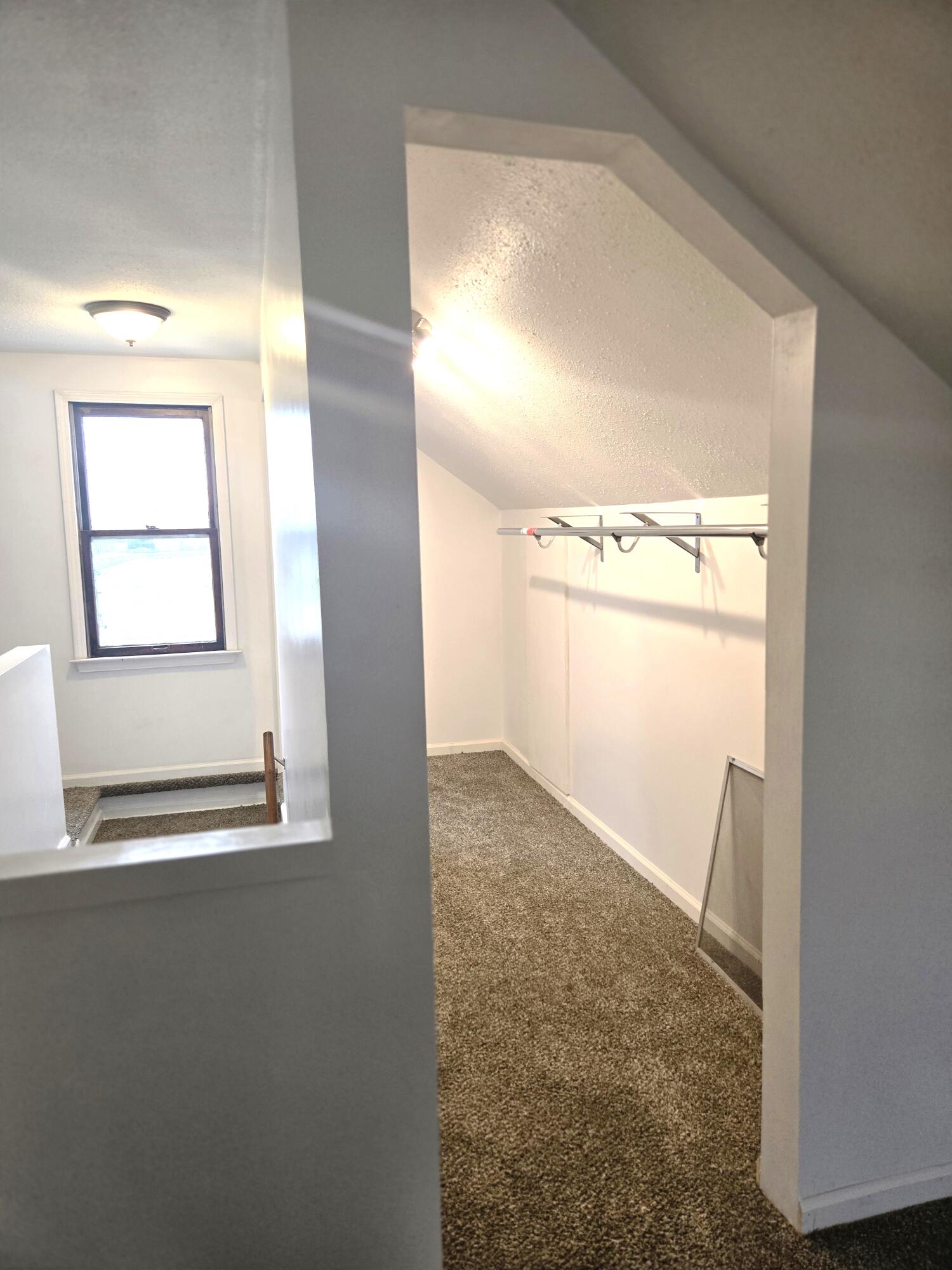 18000 Ilene Street Detroit, MI 48221 - Photo 20 of 93 Walkin closet