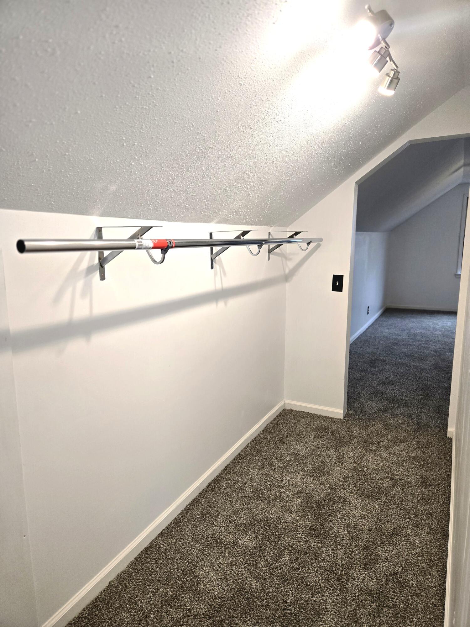 18000 Ilene Street Detroit, MI 48221 - Photo 22 of 93 Closet