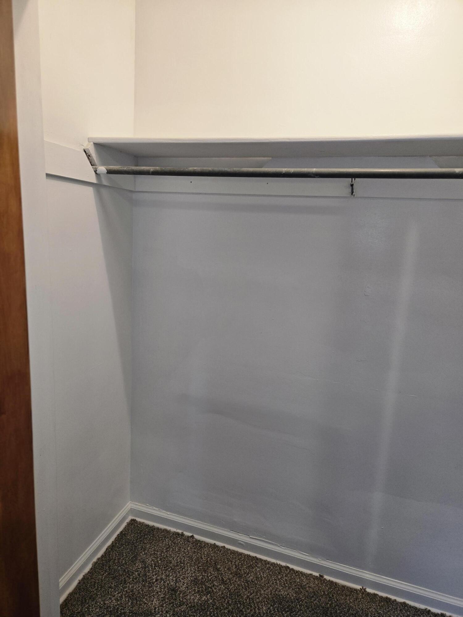 18000 Ilene Street Detroit, MI 48221 - Photo 34 of 93 closet