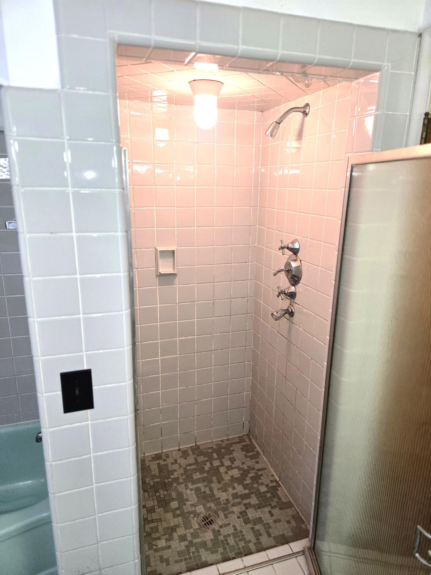 18000 Ilene Street Detroit, MI 48221 - Photo 36 of 93 main bathroom shower