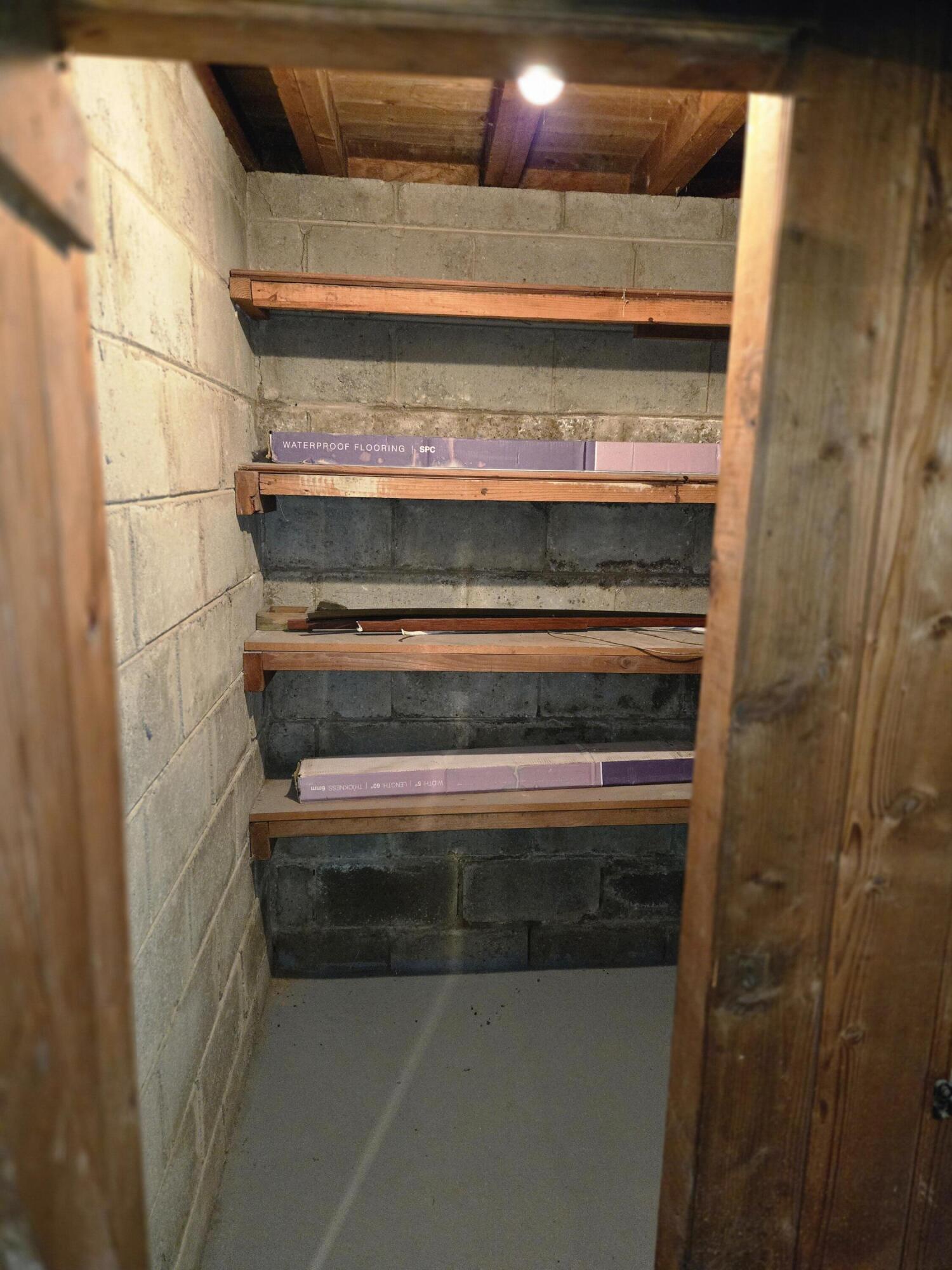 18000 Ilene Street Detroit, MI 48221 - Photo 78 of 93 basement storage