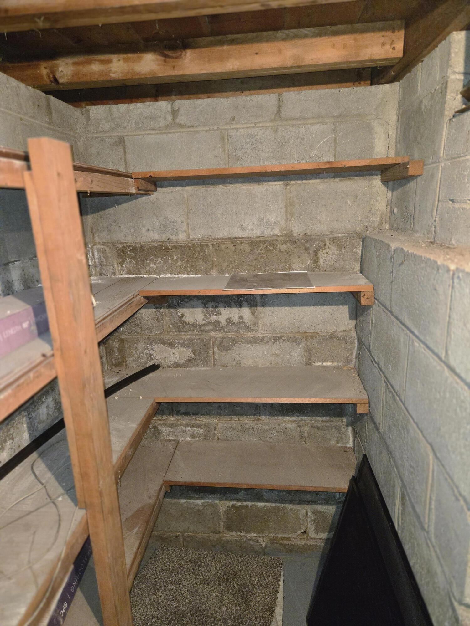18000 Ilene Street Detroit, MI 48221 - Photo 79 of 93 basement storage