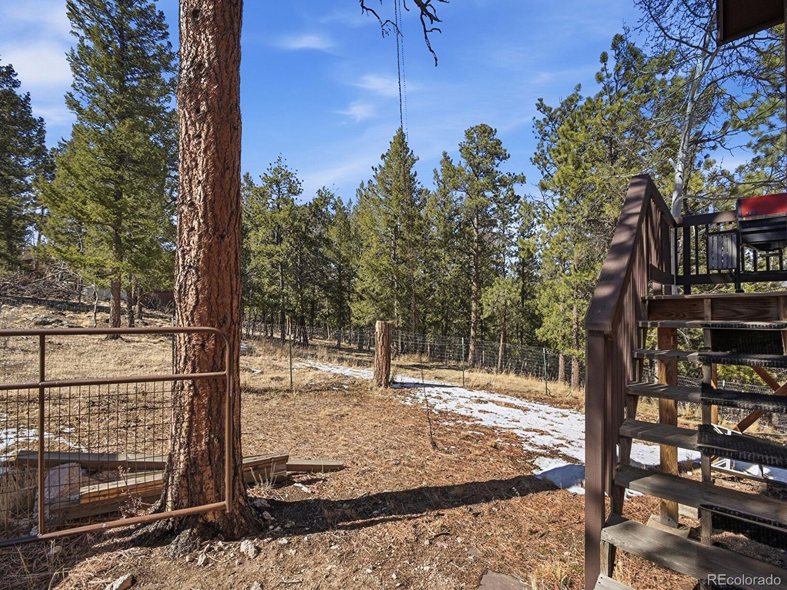 399 Conifer Drive Bailey, CO 80421 - Photo 17 of 42