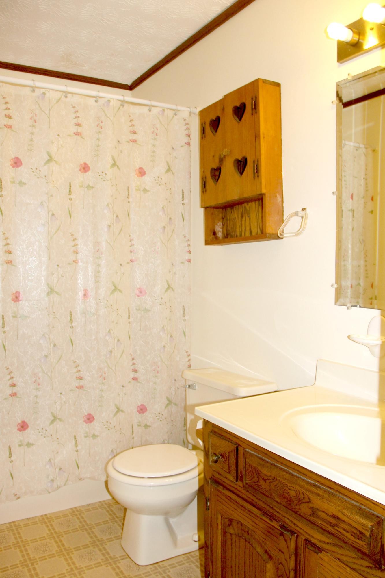 653 Laurel Bluff Road Kingston, TN 37763 - Photo 13 of 20 a bathroom with a toilet and a shower curtain