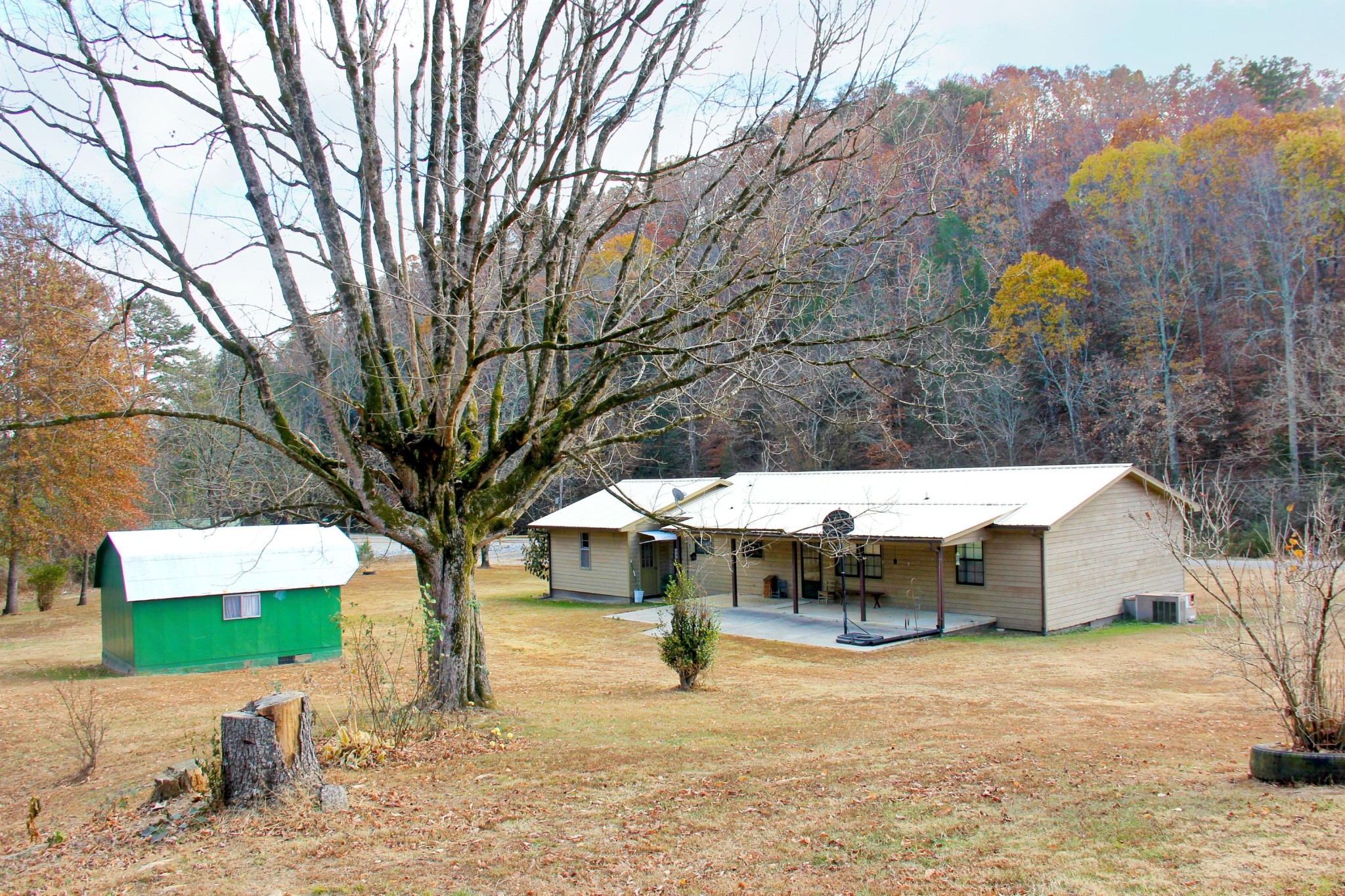 653 Laurel Bluff Road Kingston, TN 37763 - Photo 18 of 20 a view of a house with a yard