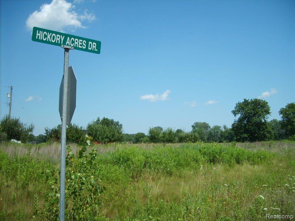 Byron & Hickory 008