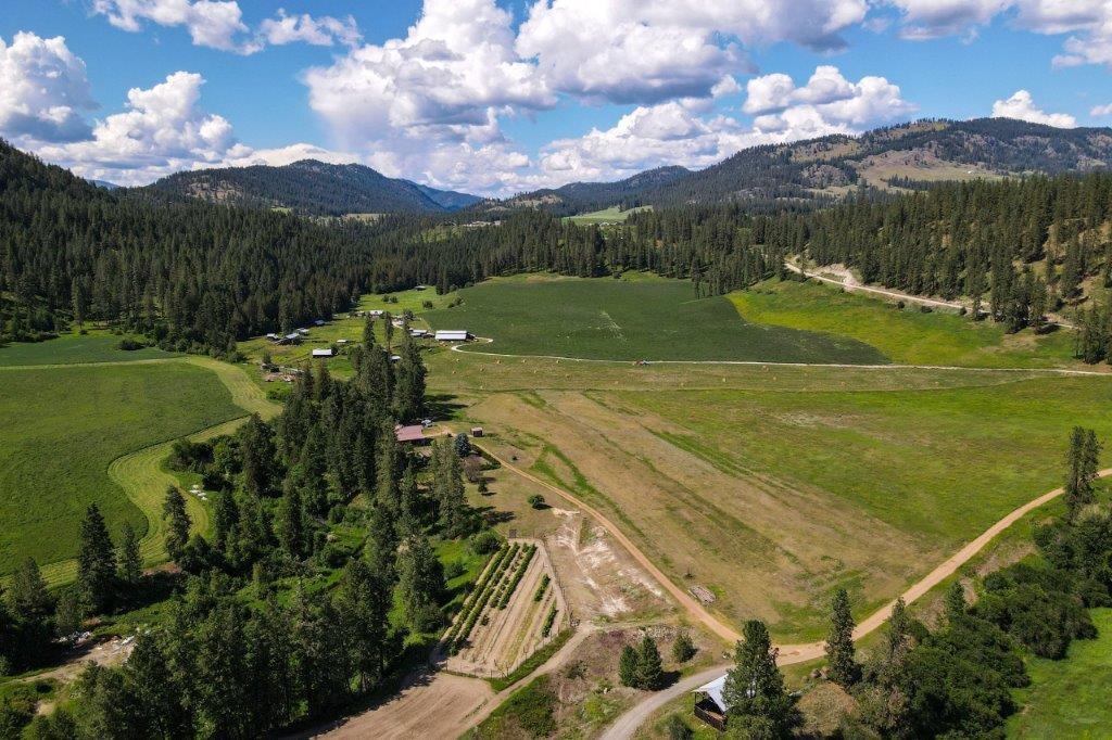 2447A Pierre Lake Road, Unit A Kettle Falls, WA 99141 - Photo 44 of 50