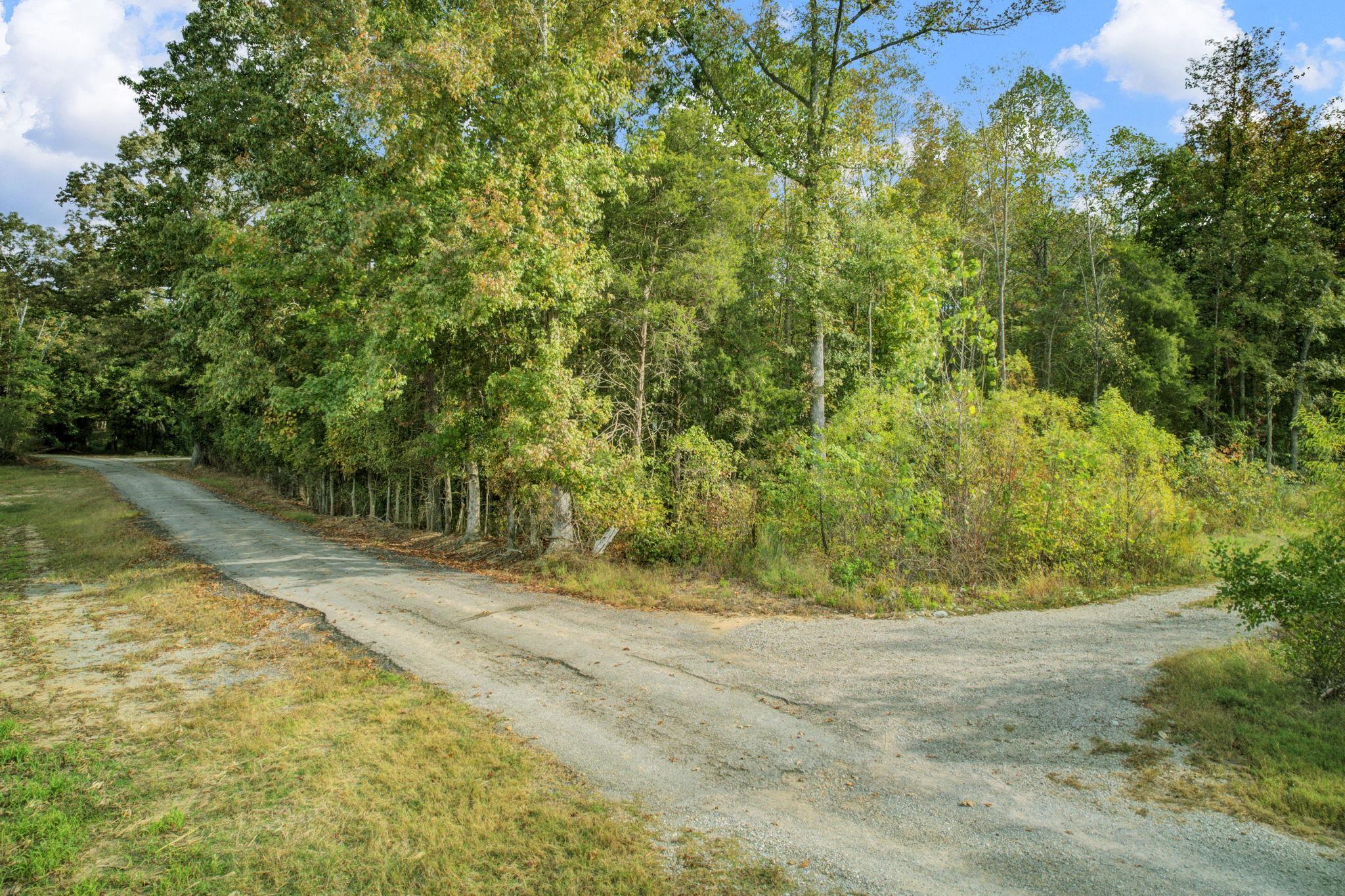 1975 Bethlehem Road Moscow, TN 38057 - Photo 11 of 13 a view of a yard with a trees