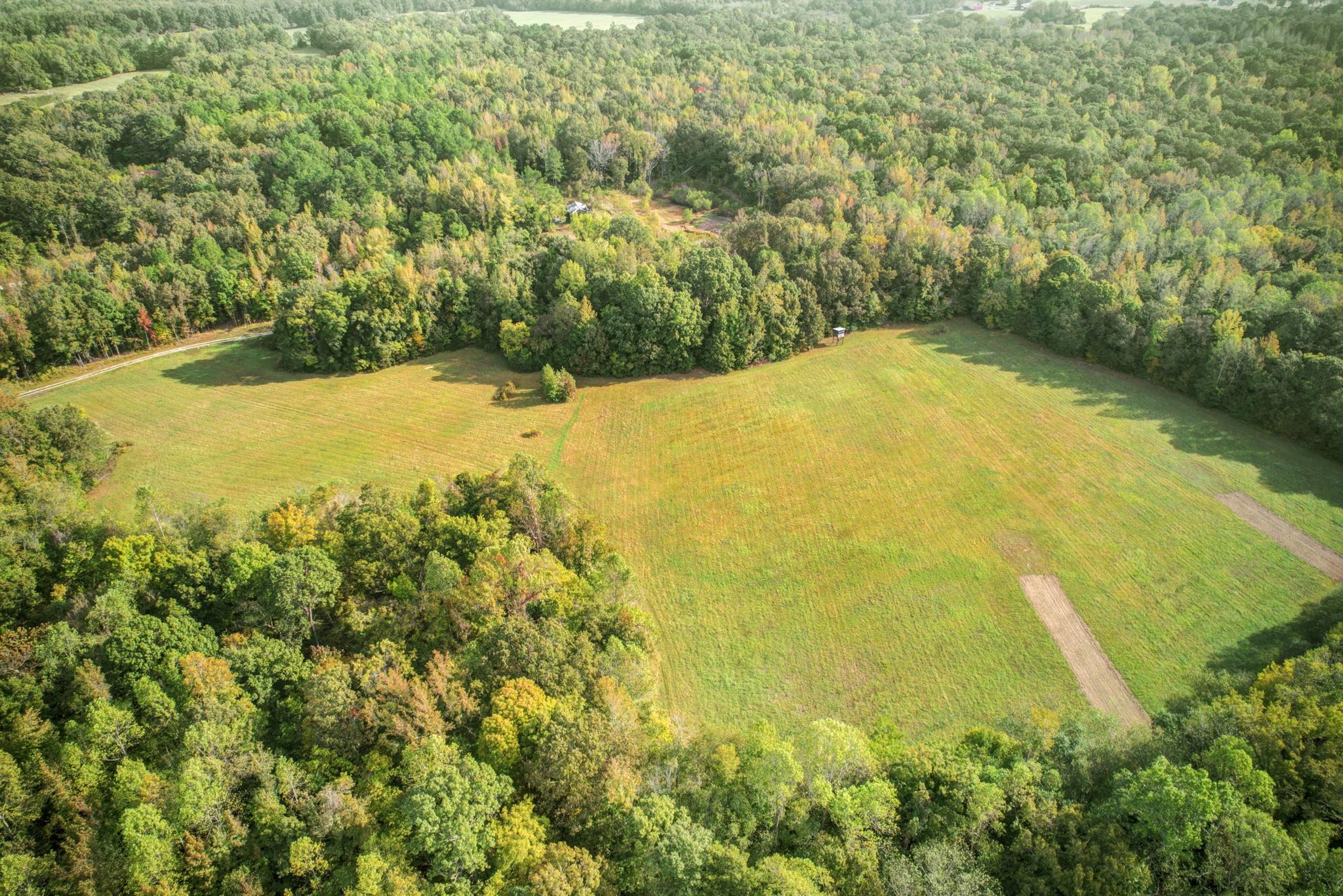 1975 Bethlehem Road Moscow, TN 38057 - Photo 2 of 13 a view of a yard