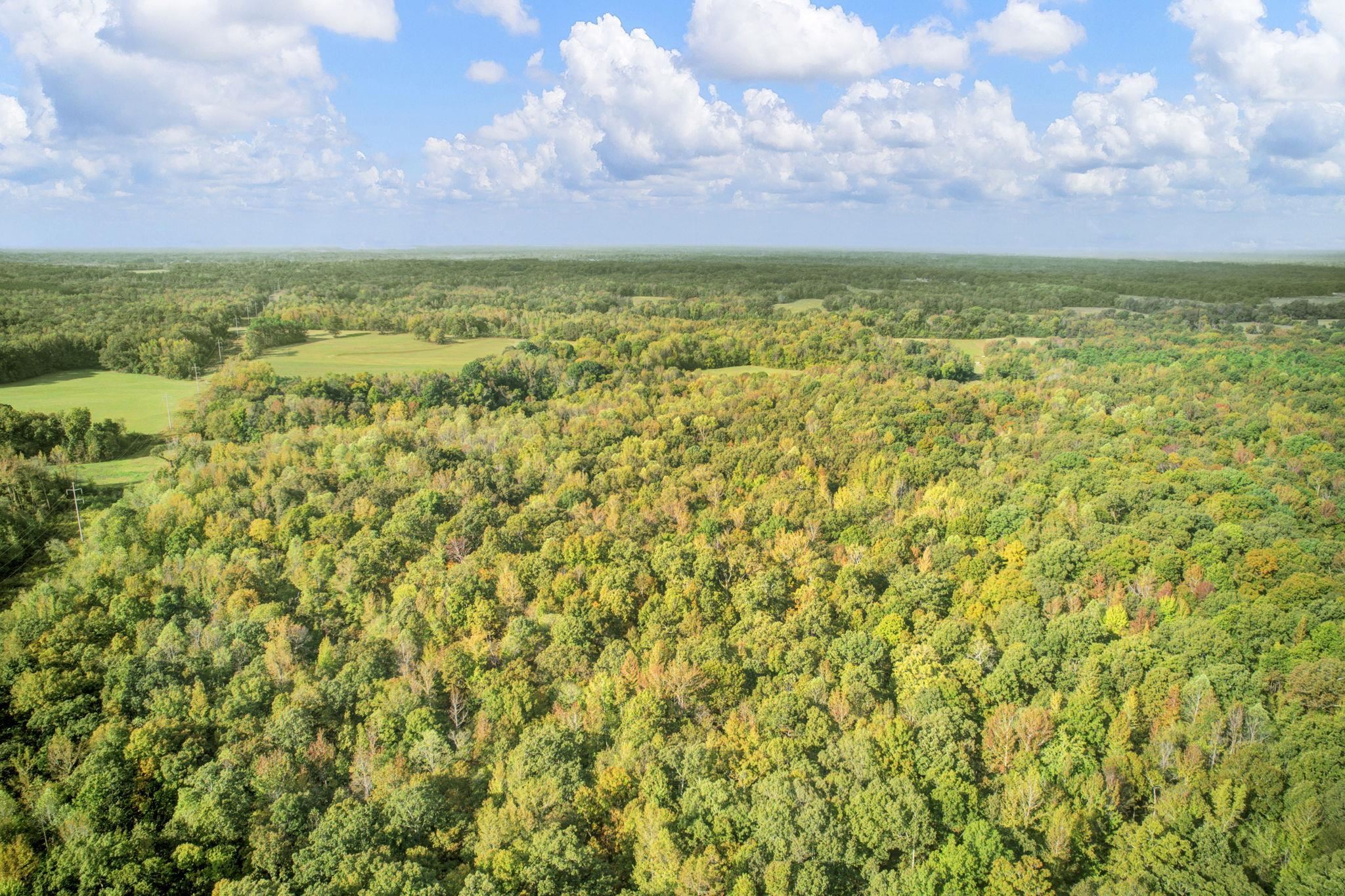 1975 Bethlehem Road Moscow, TN 38057 - Photo 5 of 13 a view of an ocean
