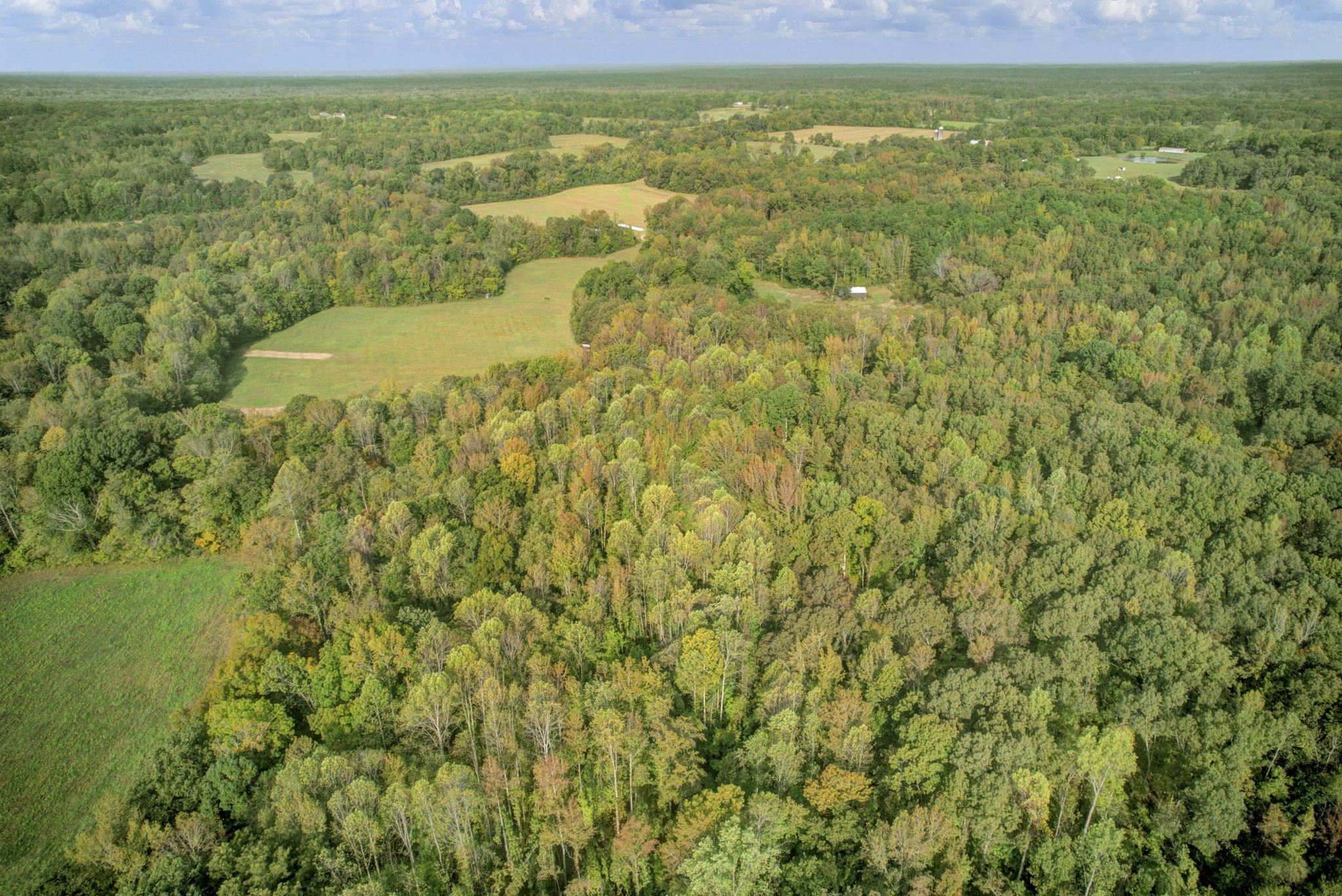 1975 Bethlehem Road Moscow, TN 38057 - Photo 9 of 13 a view of a field with an ocean view