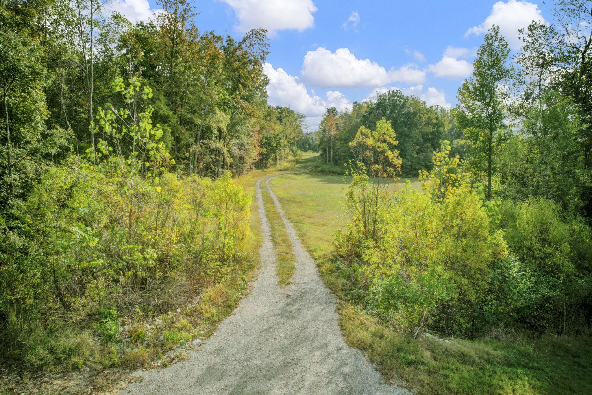 1975 Bethlehem Road Moscow, TN 38057 - Photo 10 of 13 a view of a lake with a yard