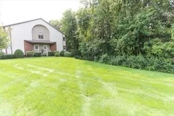 a view of a large garden with plants and large trees